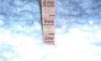 融雪実験/積雪量30cm